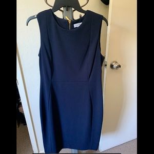 Blue Calvin Klein Dress
